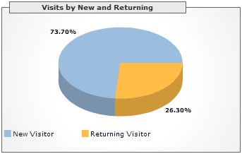 Visits by New and Returning, January 2006