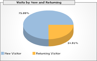 Visits by New and Returning, Year 1